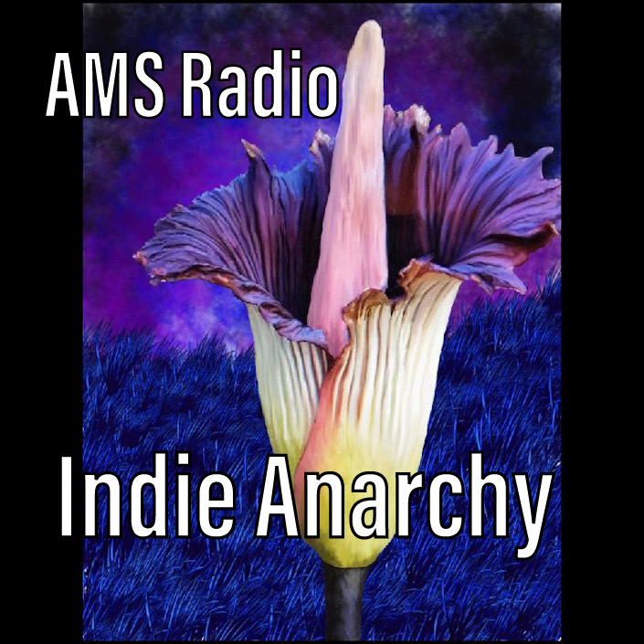 Indie Anarchy- Featured Spotify&nbsp;Playlist