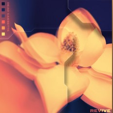 Bands to keep on your radar: Dead&nbsp;Cassette