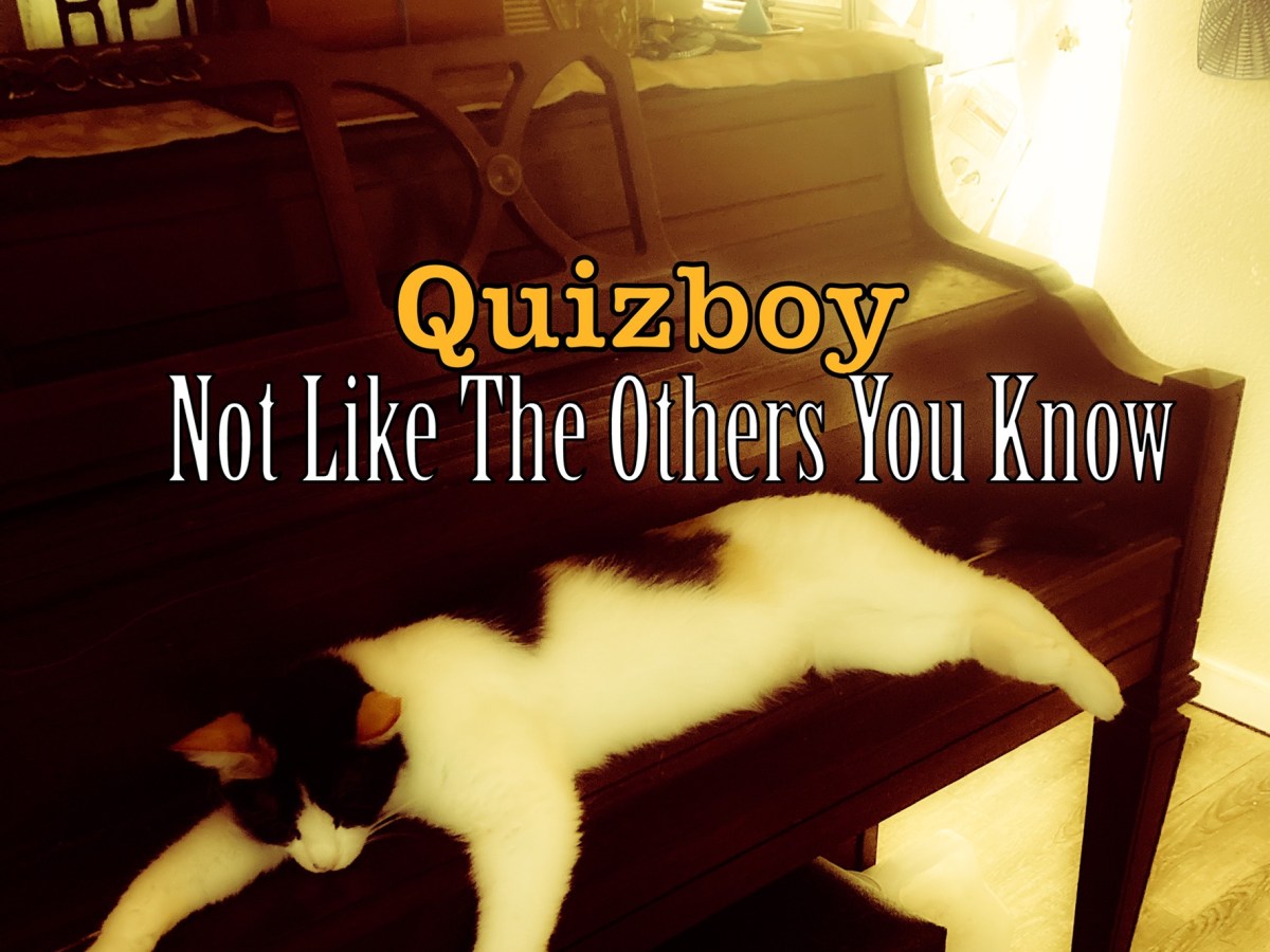 New Release – Not Like the Others You Know (EP) by&nbsp;Quizboy