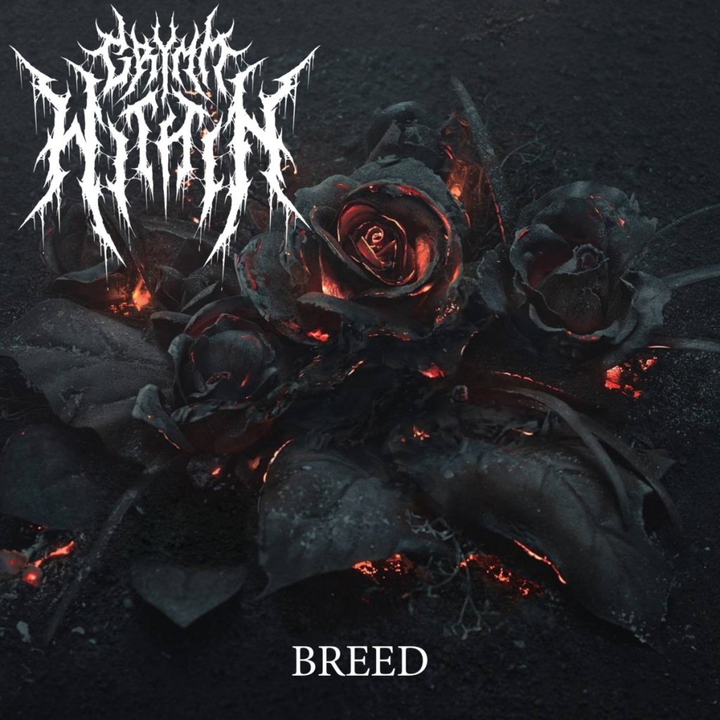 Grymm Within releases a Nirvana cover for&nbsp;Charity