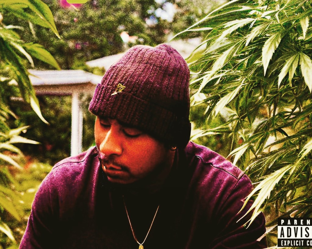 Panama Quik Joins&nbsp;Jukebox!